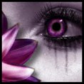/album/emo-e-rock/dcsf-jpg/