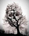 /album/emo-e-rock/a417058-168324433285395-100003235182962-236172-842657706-a-jpg1/